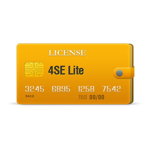 4SE Lite лицензия